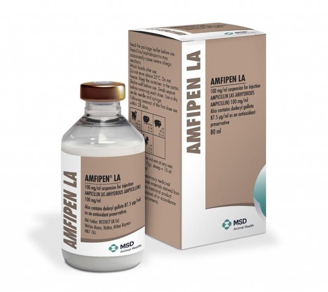 MSD Amfipen LA 100 mg/ml Injection 80ml