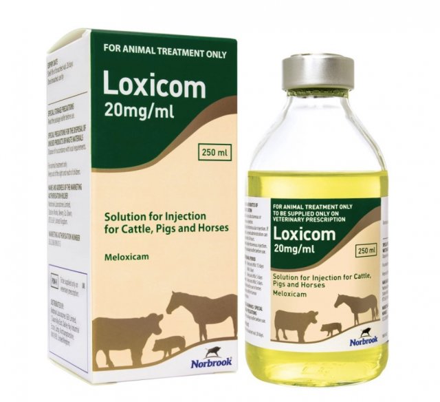 Norbrook Loxicom 20mg/ml Injection