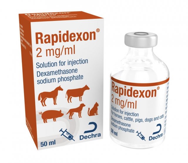Dechra Rapidexon 2 mg/ml Injection