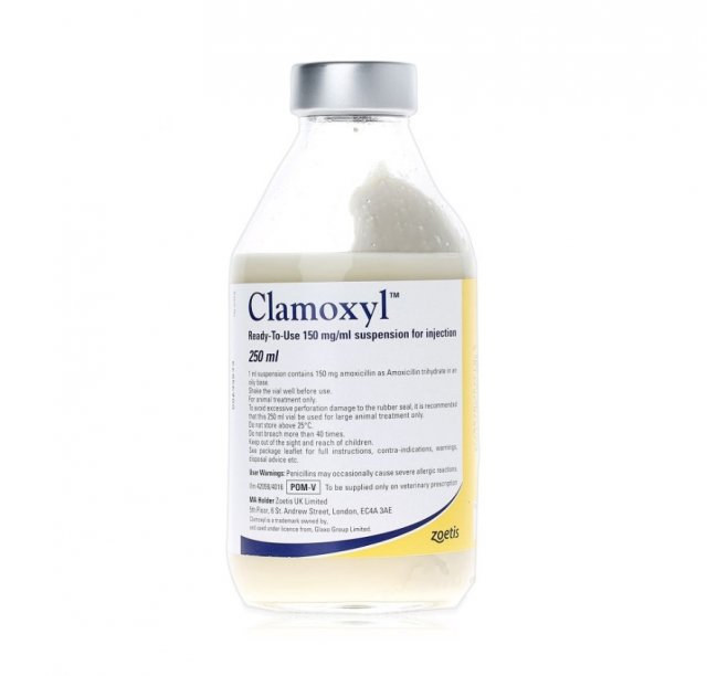 Zoetis Clamoxyl RTU 150mg/ml Injection