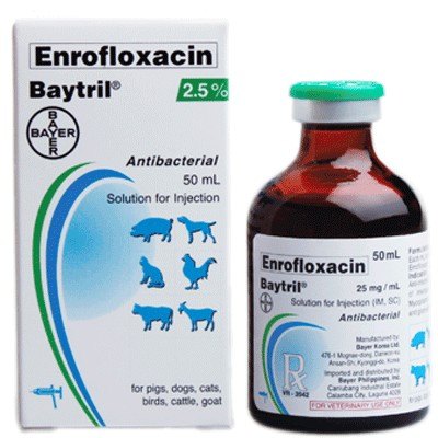 Bayer Baytril 2.5% Injection 50ml