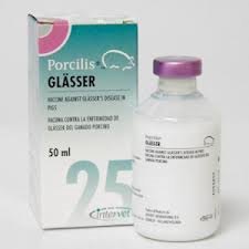 Porcilis Glasser 25 dose
