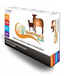 Agrimin Agrimin 24-7 Smartrace Plus Adult Sheep 50 pack