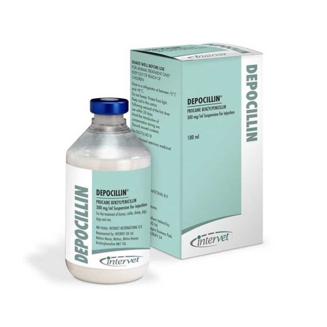 MSD Depocillin 300mg/ml Injection 100ml