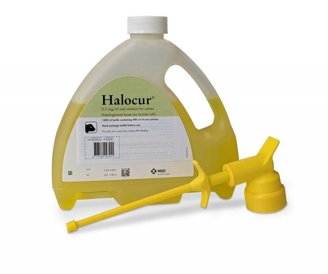 MSD Halocur 0.5mg/ml Oral Solution