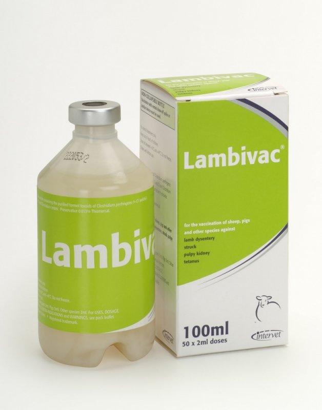 MSD Lambivac