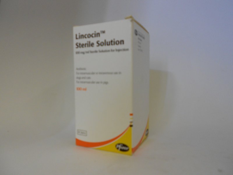 Zoetis Lincocin Sterile  Solution for Injection 100ml