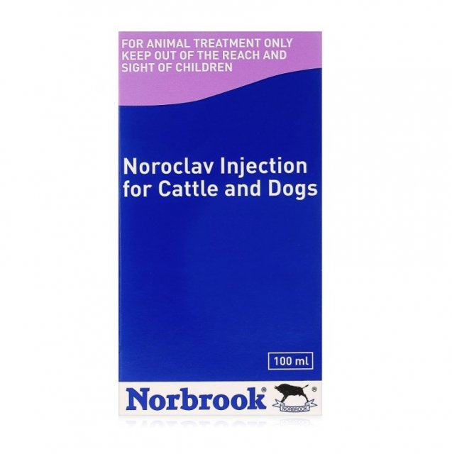 Norbrook Noroclav Injection