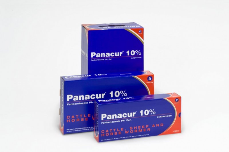 MSD Panacur 10% Oral Suspension