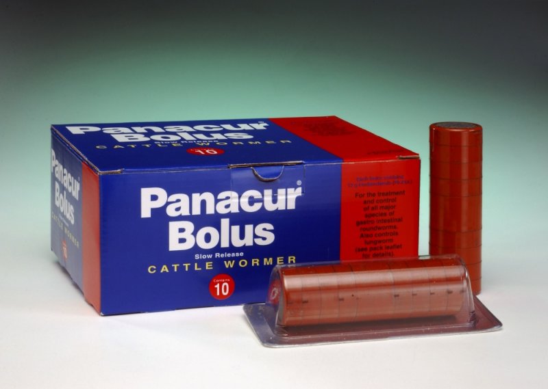 MSD Panacur Bolus 10 pack