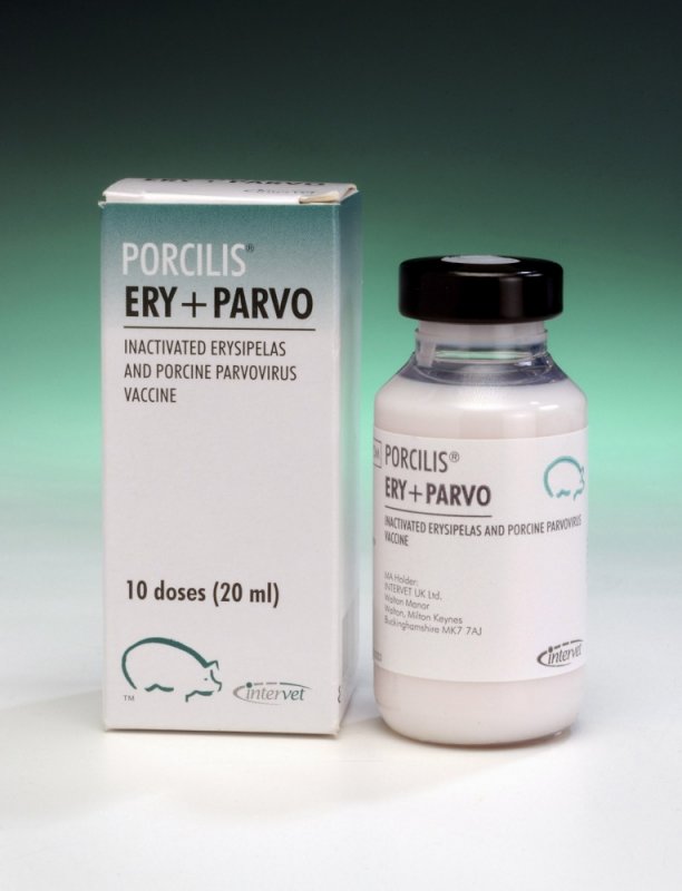 MSD Porcilis Ery & Parvo 25 dose