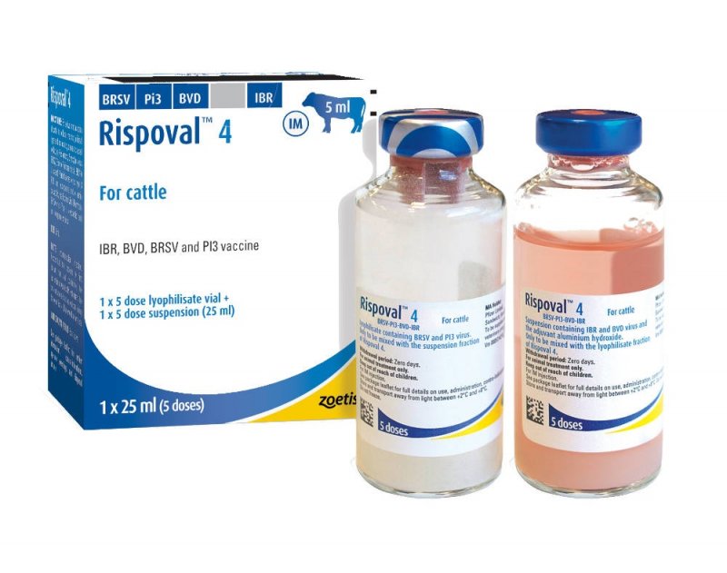 Zoetis Rispoval 4 5 dose