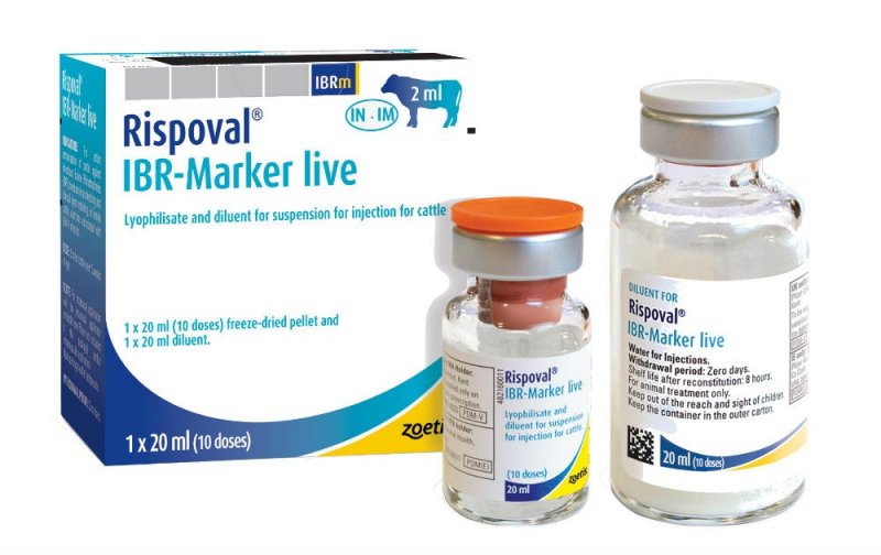 Zoetis Rispoval IBR Marker LIVE