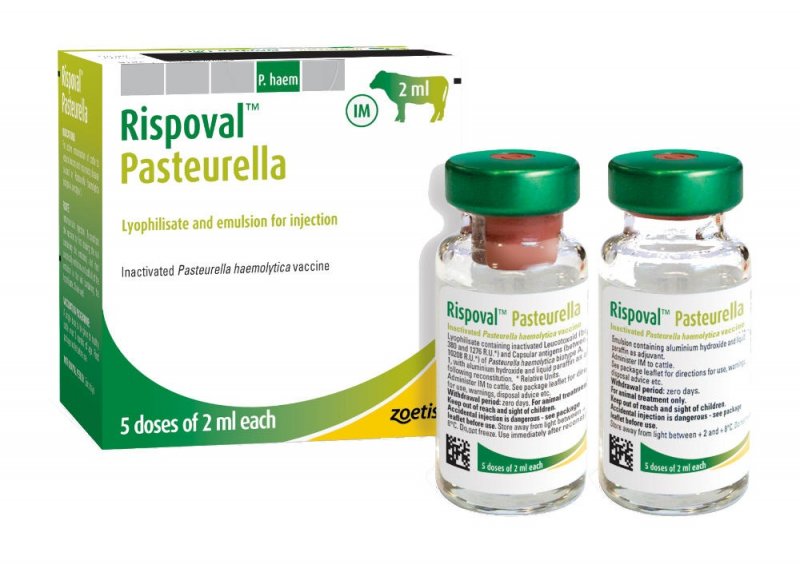 Zoetis Rispoval Pasteurella