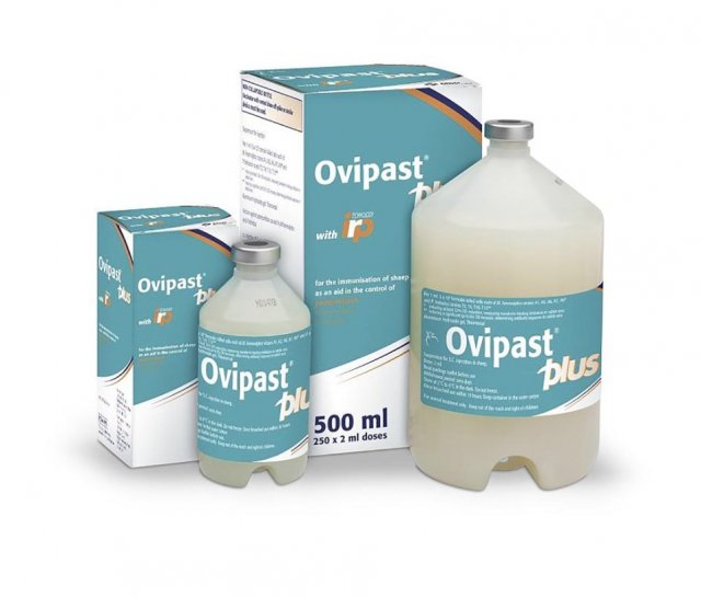 MSD Ovipast Plus