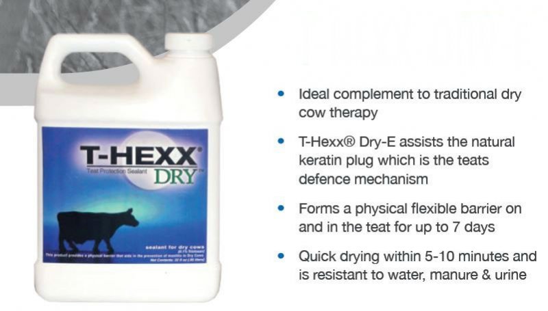 Progiene Progiene T-Hexx Dry-E 1L