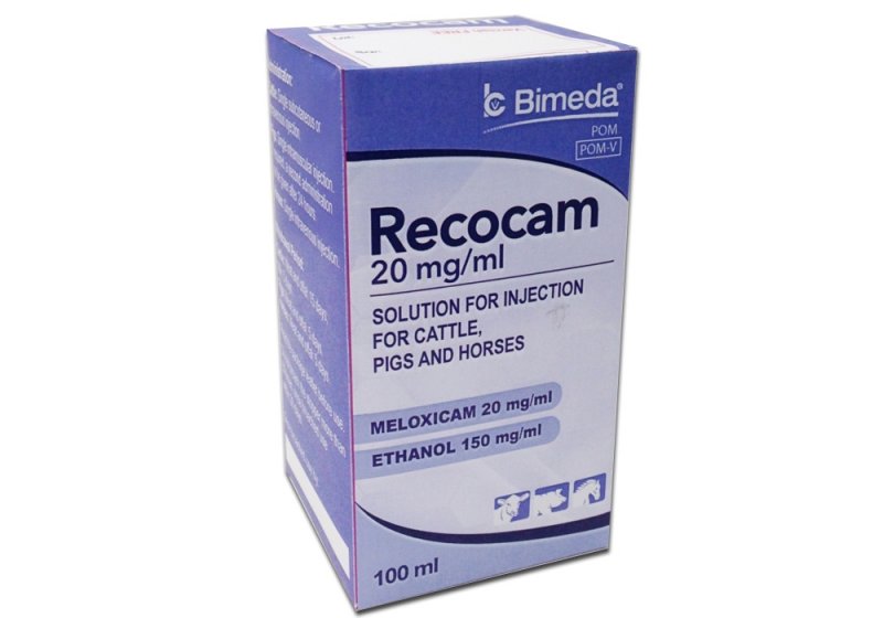 Bimeda Recocam 20mg/ml Injection 100ml - discontinued March 2025
