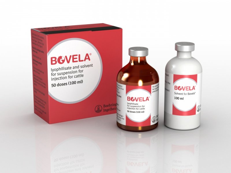 Boehringer Ingelheim Bovela