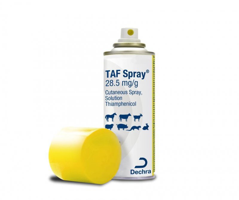 Dechra TAF Spray 28.5 mg/g 150ml