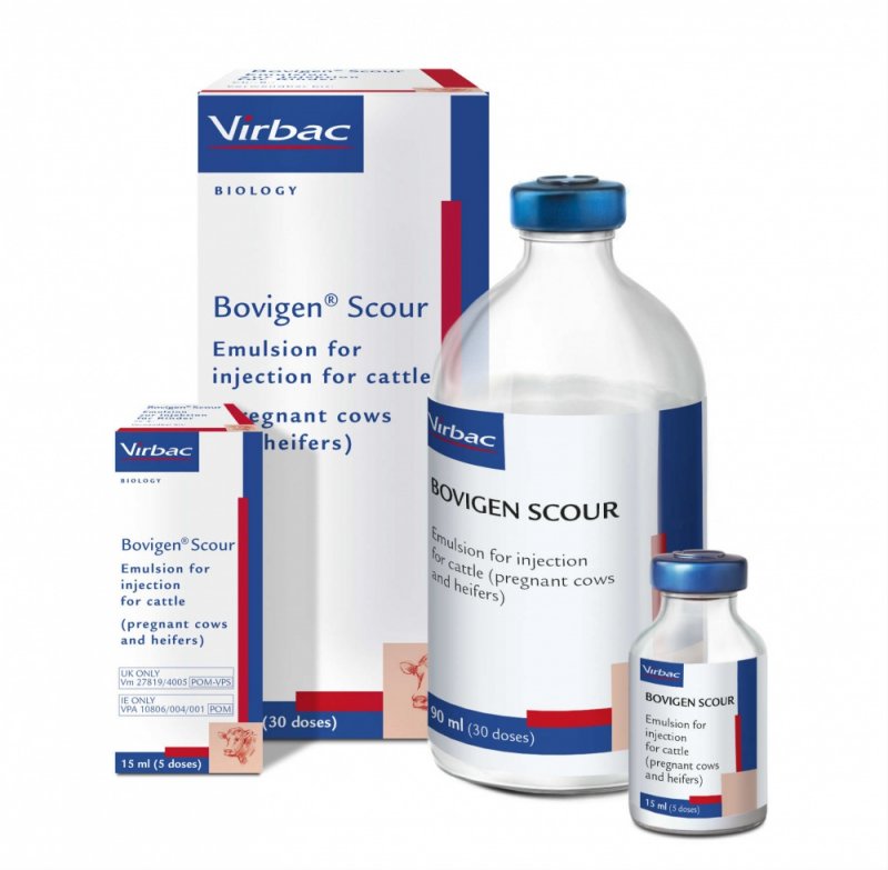 Virbac Bovigen Scour Injection