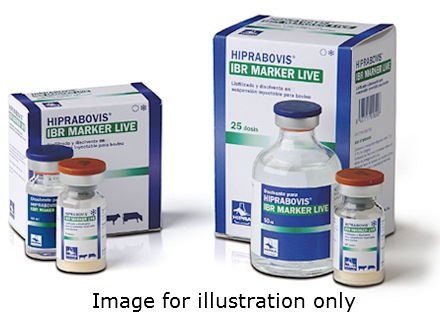 HIPRA Hiprabovis IBR Marker Live