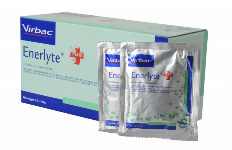 Virbac Enerlyte Plus 100g x 24 pack