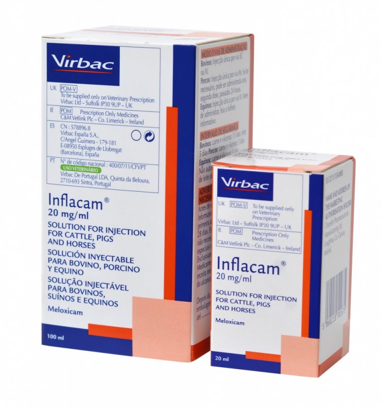 Virbac Inflacam 20mg/ml Injection 100ml