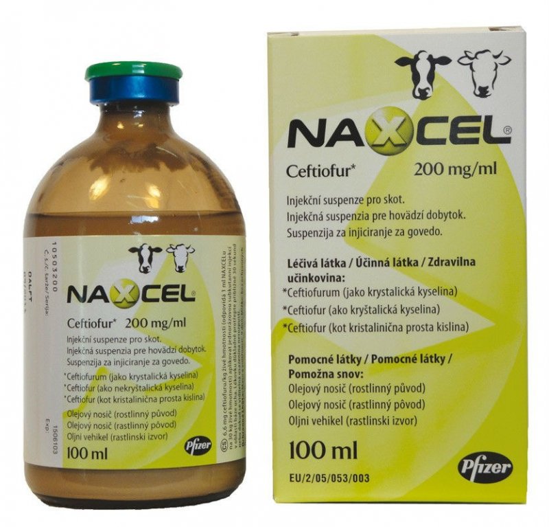 Zoetis Naxcel 200mg/ml Injection for Cattle 100ml