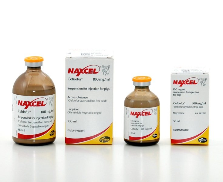 Zoetis Naxcel 100 mg/ml Injection for Pigs 100ml