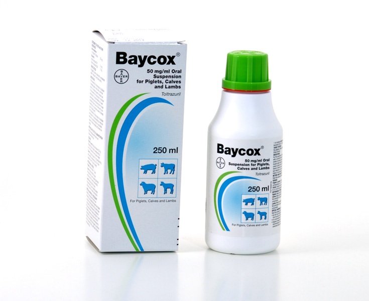 Bayer Baycox Multi 50mg/ml Oral Suspension for Cows, Pigs and Sheep