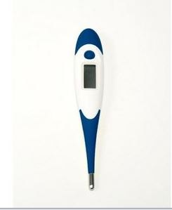 Digital Dual Scale Thermometer
