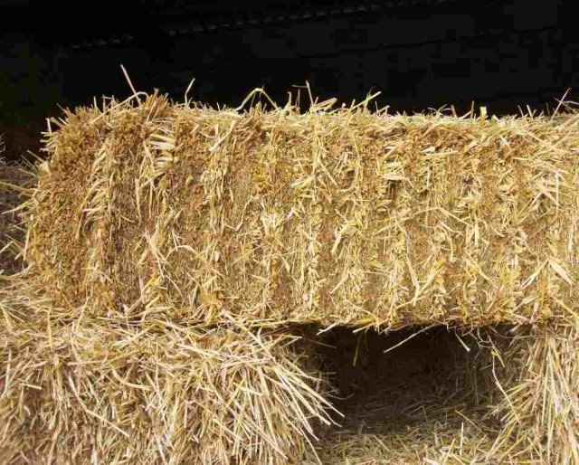 Hay & Straw - Mould & Yeast Analysis