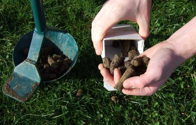 Basic Soil Analysis
