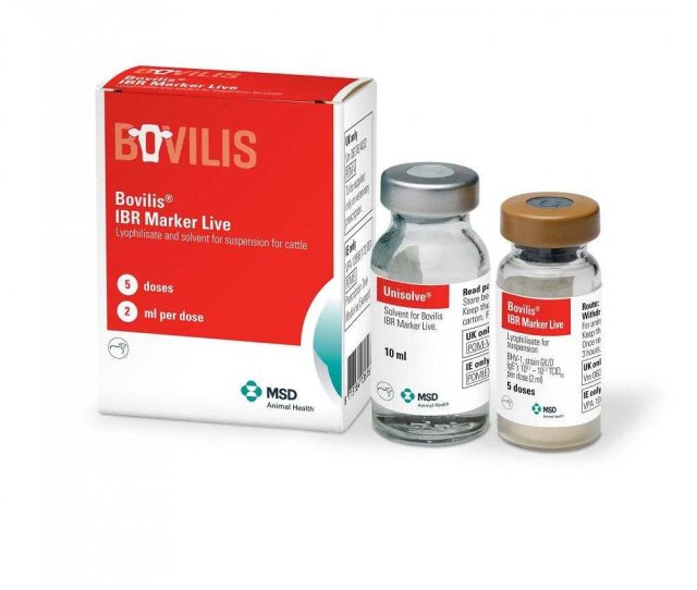 MSD Bovilis IBR Marker LIVE with Nasal Applicators