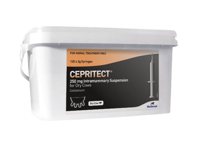 Norbrook Cepritect 250 mg DC 120 pack