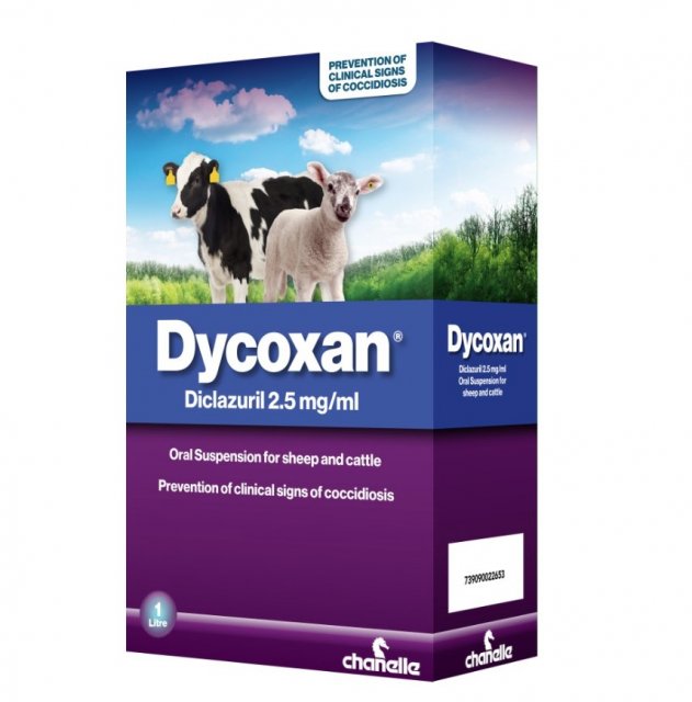 Chanelle Dycoxan 2.5mg/ml Oral Solution