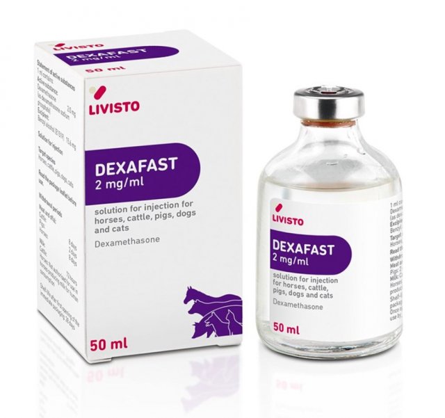 Forte Healthcare Ltd Dexafast 2 mg/ml Injection