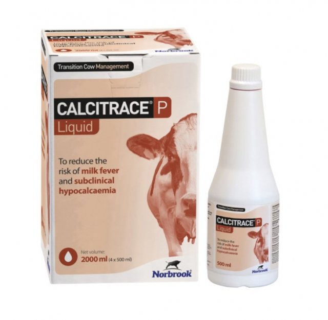 Norbrook Calcitrace P Liquid 500ml x 4 pack