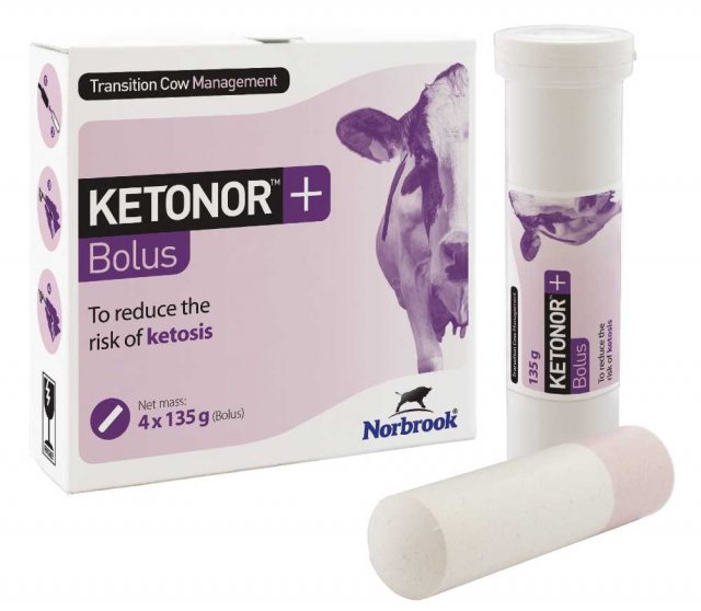 Norbrook Ketonor + Bolus 4 pack