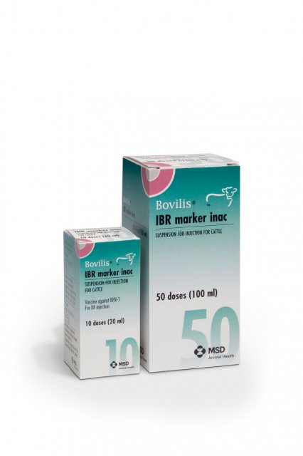 MSD Bovilis IBR Marker INACTIVATED (No Applicators)