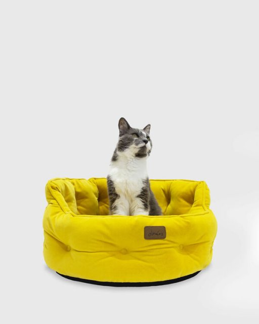 Joules Chesterfield Dog Bed Yellow Farmacy