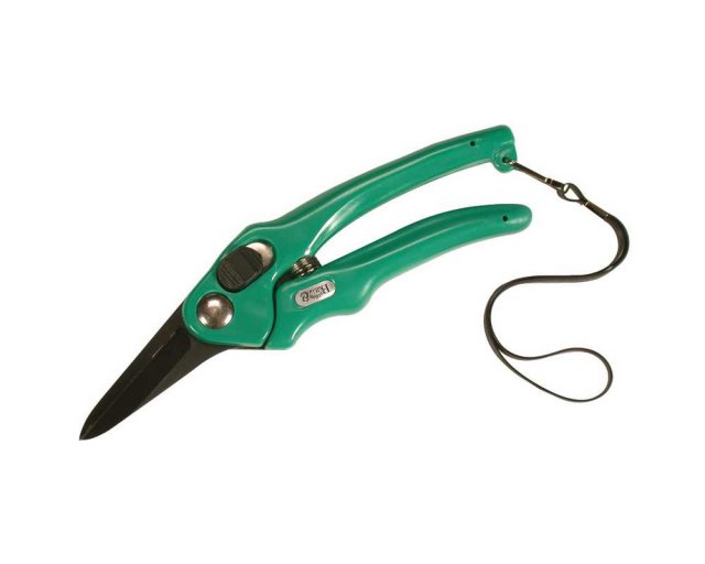 Burgon and Ball Supersharp Foot Rot Shears