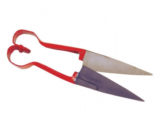DOUBLE BOW STRAIGHT SHEEP SHEARS RED HANDLE DB 162/33V – Due Buoi