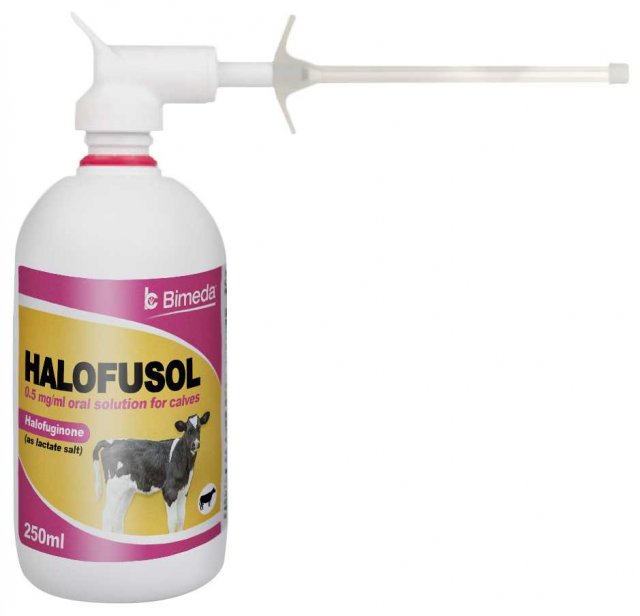 Bimeda Halofusol 0.5 mg/ml Oral Solution for Calves