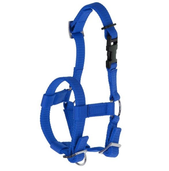 Alpaca Halter - Blue