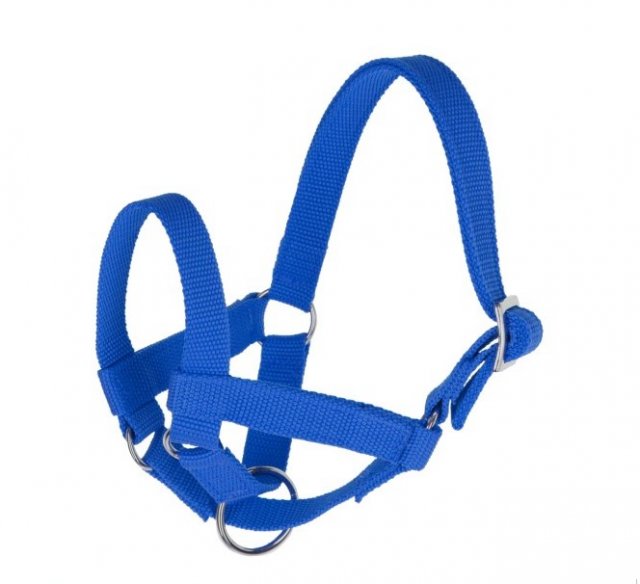 Llama Halter 60cm