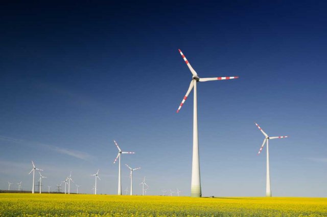 Why is Sustainability Important