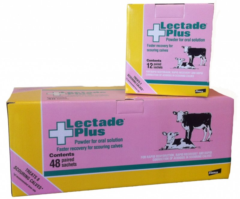 Elanco Lectade Plus 48 pack