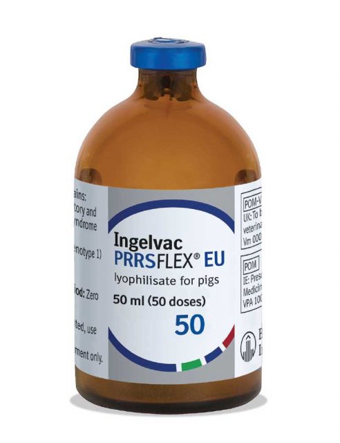 Boehringer Ingelheim Ingelvac PRRSFLEX EU 50 dose