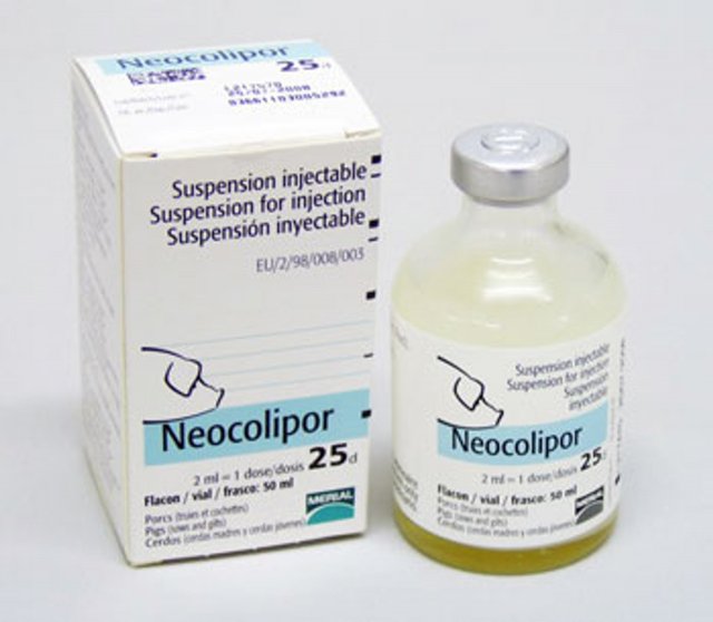 Boehringer Ingelheim Neocolipor 25 dose